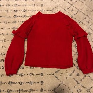 Express red knit sweater
